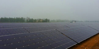 Hartek Solar Bags 1.8 Mw Rooftop Project From Bikaji